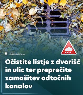 očistite listje